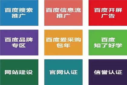 某电商平台信息流广告的精准推广策略